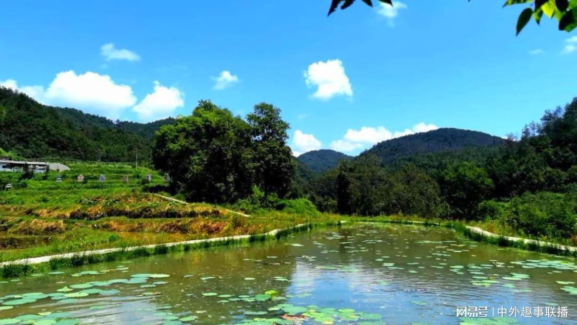 华为影像年度影展登陆上海